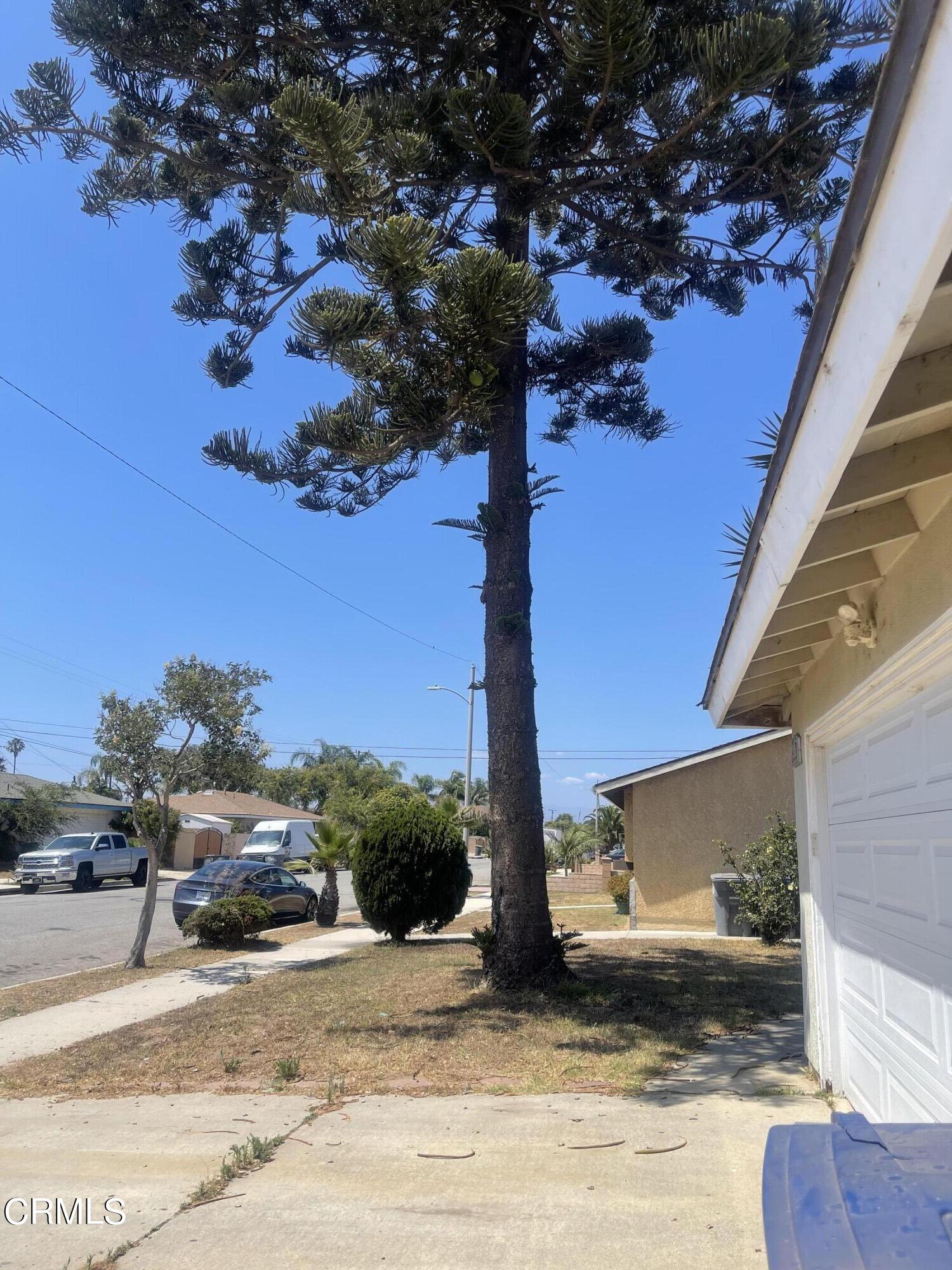 4900 Reeder Avenue Oxnard, CA 93033 - Photo 5 of 13 a view of a house with a yard
