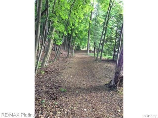 2774 North Tipsico Lake Road Hartland, MI 48353 - Photo 32 of 33 trail 2.jpg