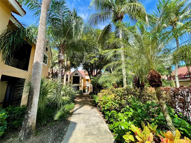 a view of a garden with plants