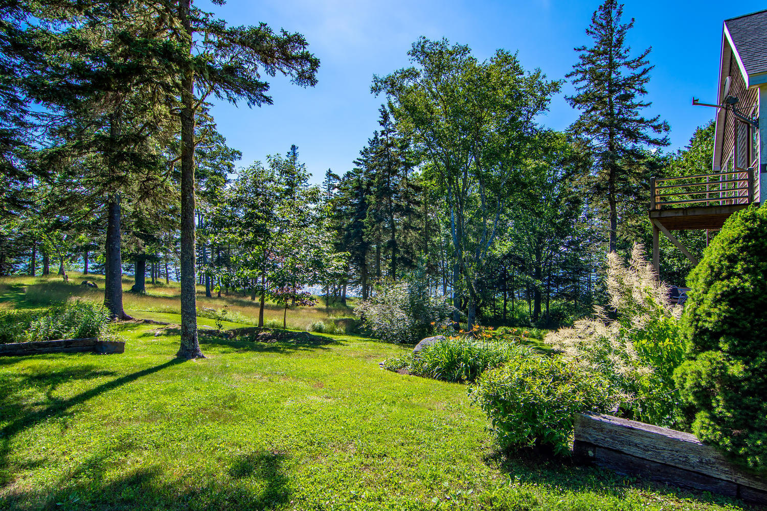 536 Reach Road Brooklin, ME 04616 - Photo 10 of 60 536 Reach Road Brooklin ME-large-005-025