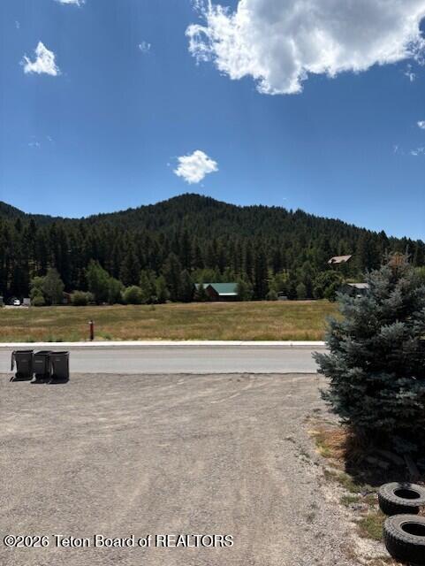 Greys River Road Alpine, WY 83128 - Photo 22 of 23 thumbnail_IMG_5644