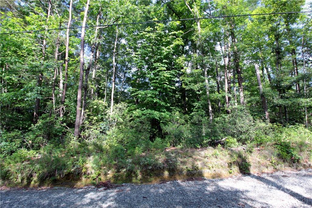 Lot 19 Gastons Bee Gum Road, Unit 19 Brevard, NC 28712 - Photo 11 of 19