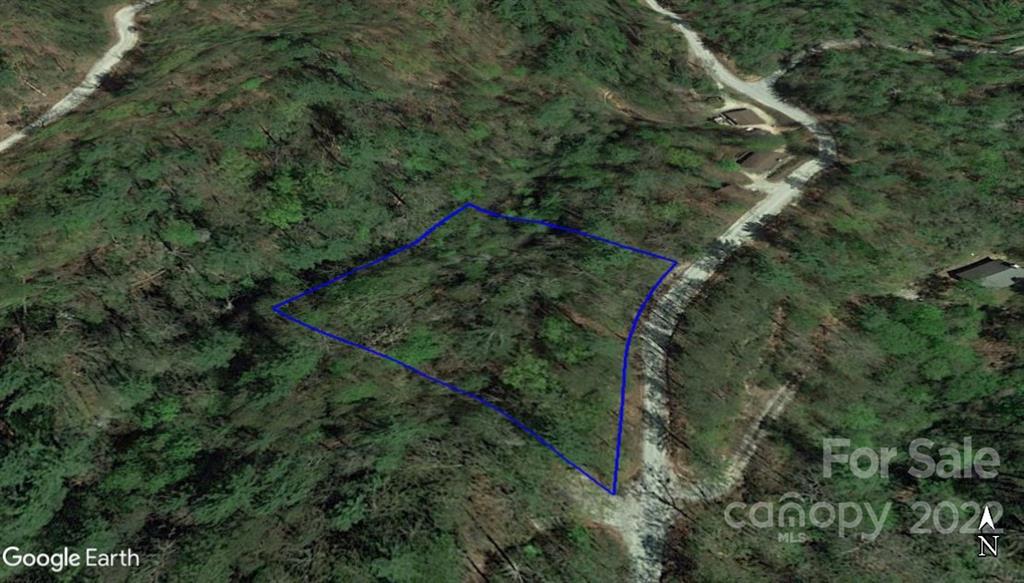 Lot 19 Gastons Bee Gum Road, Unit 19 Brevard, NC 28712 - Photo 12 of 19