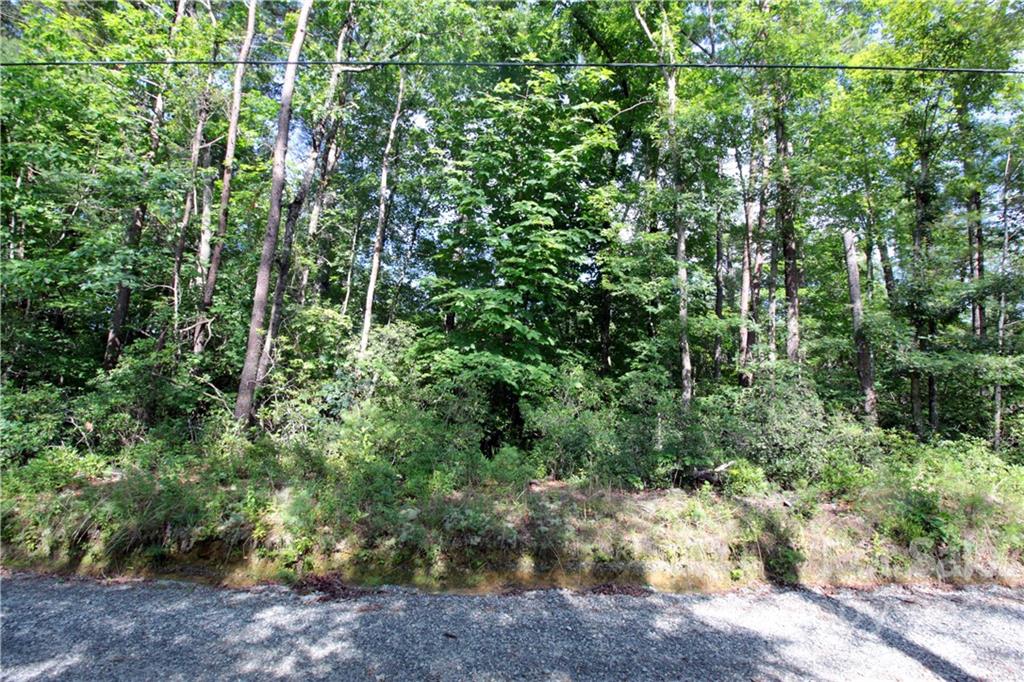 Lot 19 Gastons Bee Gum Road, Unit 19 Brevard, NC 28712 - Photo 13 of 19