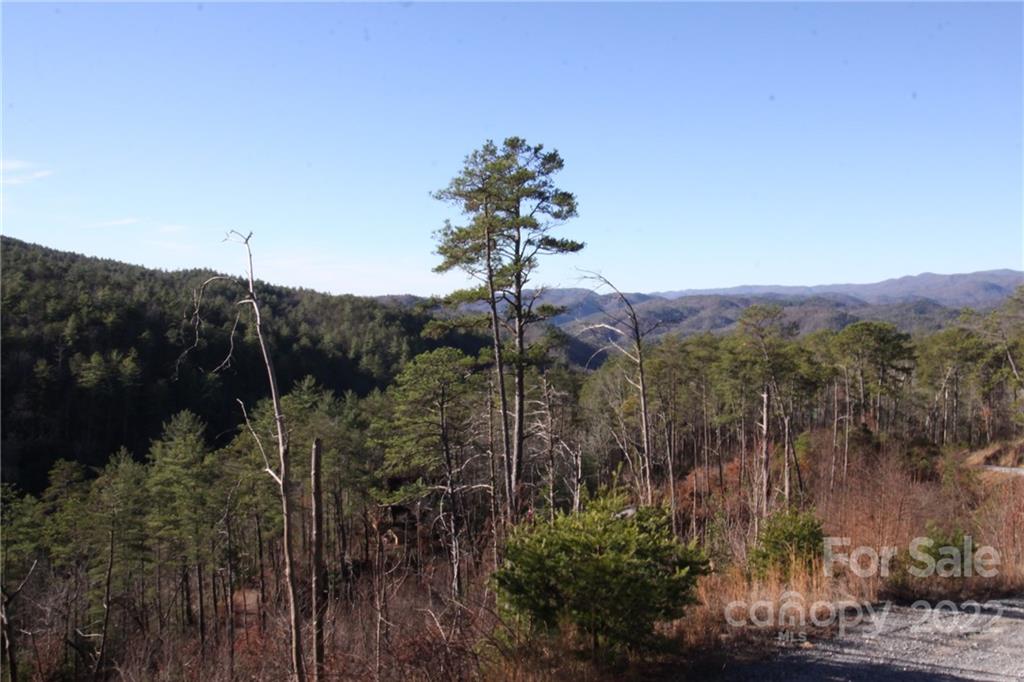 Lot 19 Gastons Bee Gum Road, Unit 19 Brevard, NC 28712 - Photo 18 of 19