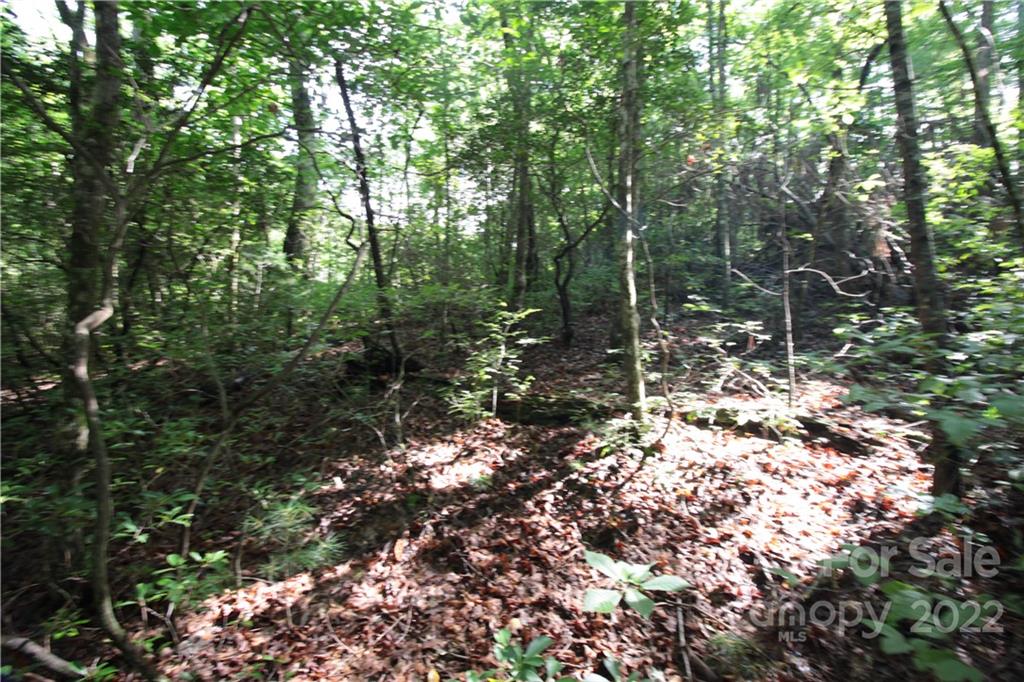 Lot 19 Gastons Bee Gum Road, Unit 19 Brevard, NC 28712 - Photo 3 of 19