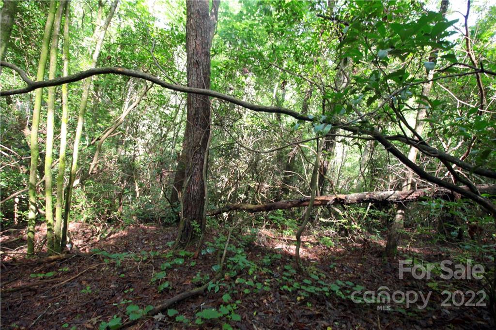Lot 19 Gastons Bee Gum Road, Unit 19 Brevard, NC 28712 - Photo 4 of 19