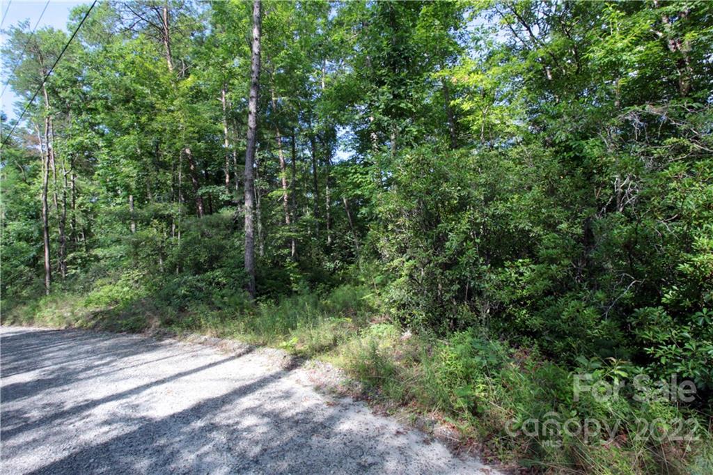 Lot 19 Gastons Bee Gum Road, Unit 19 Brevard, NC 28712 - Photo 6 of 19