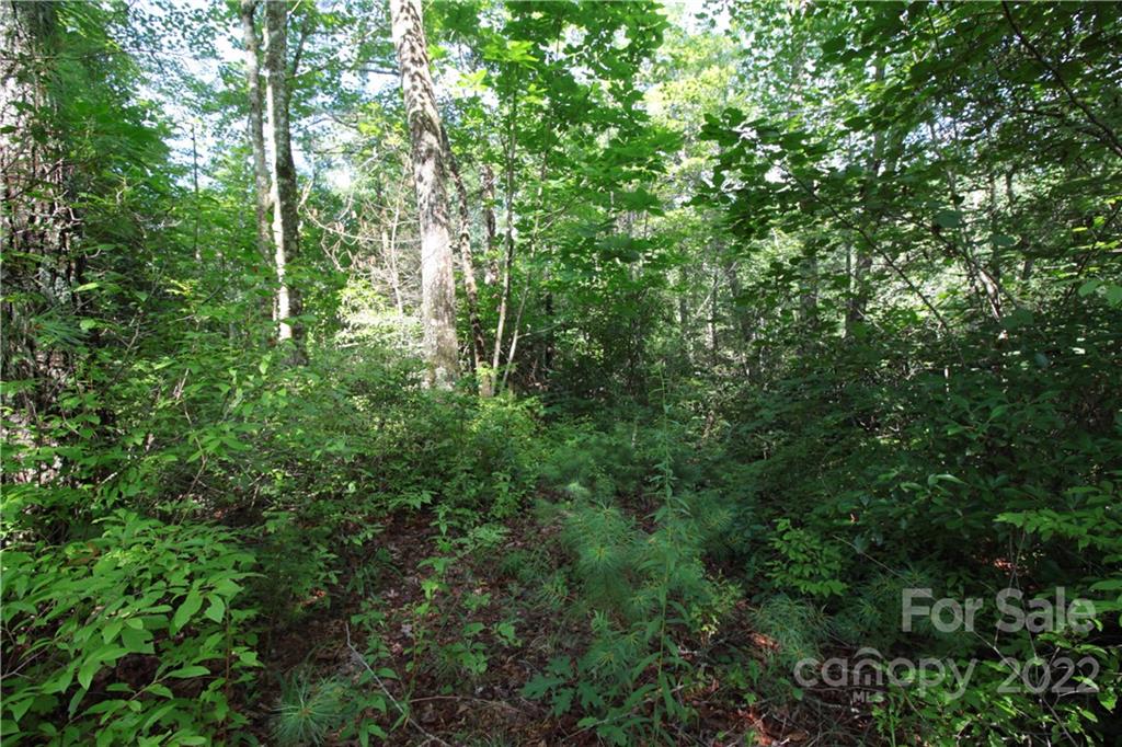 Lot 19 Gastons Bee Gum Road, Unit 19 Brevard, NC 28712 - Photo 10 of 19