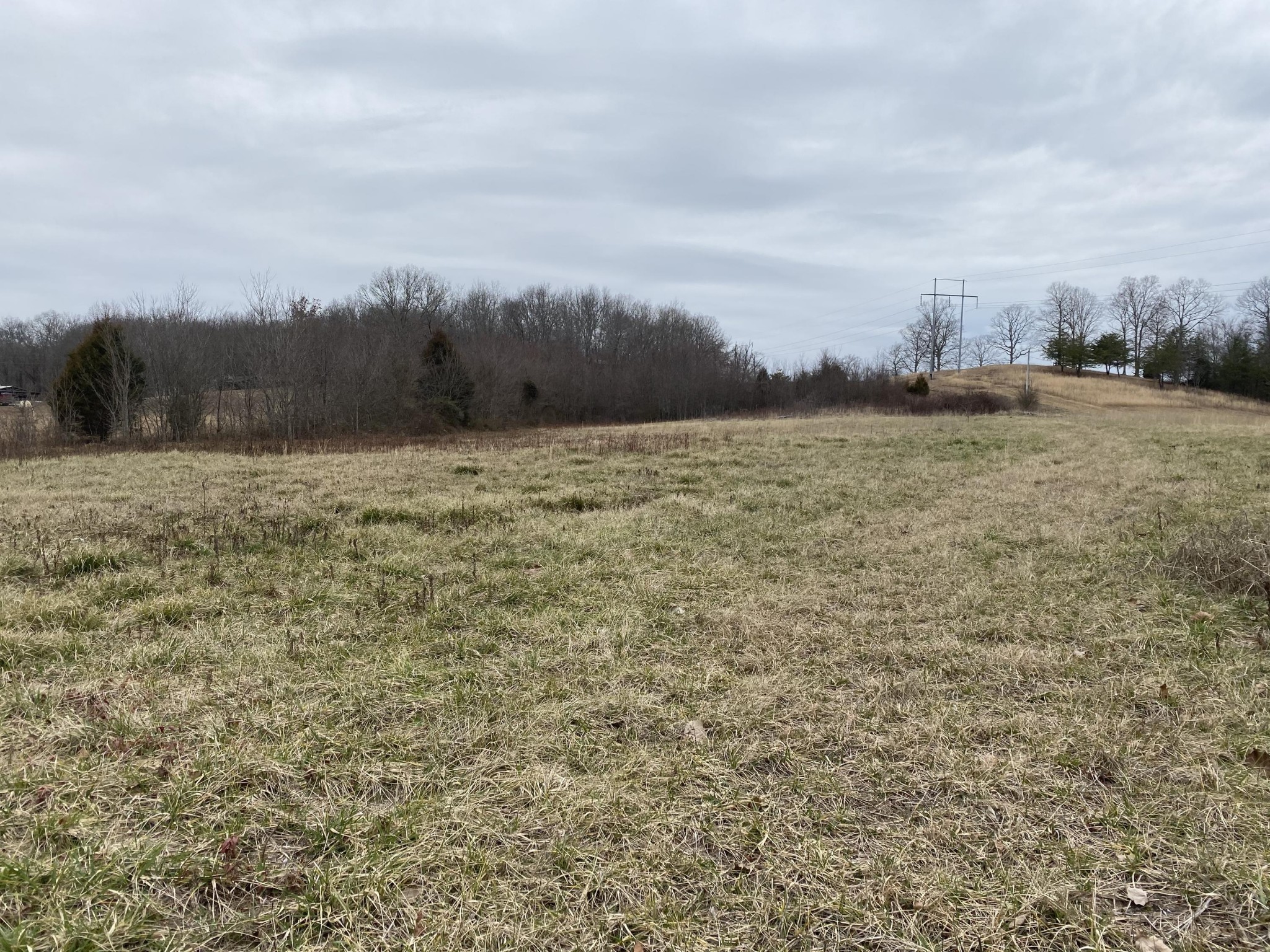 0 Panter Bottom Road Pikeville, TN 37367 - Photo 4 of 8 Gallery Image 4