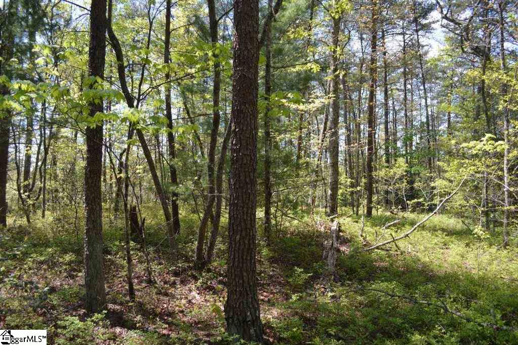 0 Damascus Church Road Long Creek, SC 29658 - Photo 14 of 28 Gallery Image 14