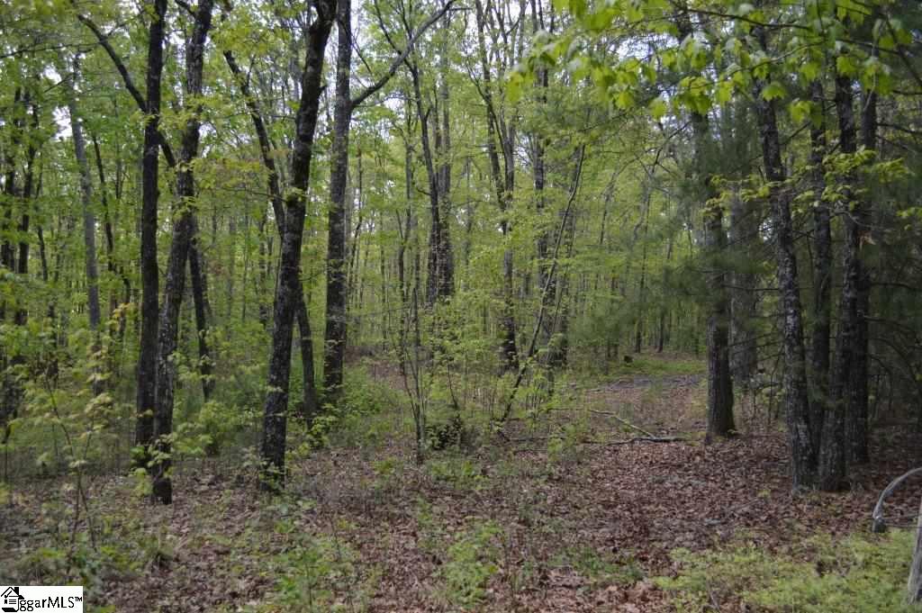 0 Damascus Church Road Long Creek, SC 29658 - Photo 22 of 28 Gallery Image 22