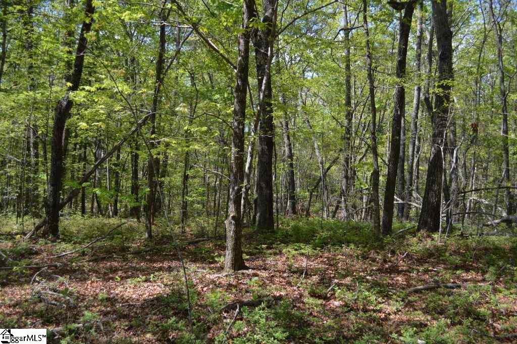 0 Damascus Church Road Long Creek, SC 29658 - Photo 8 of 28 Gallery Image 8