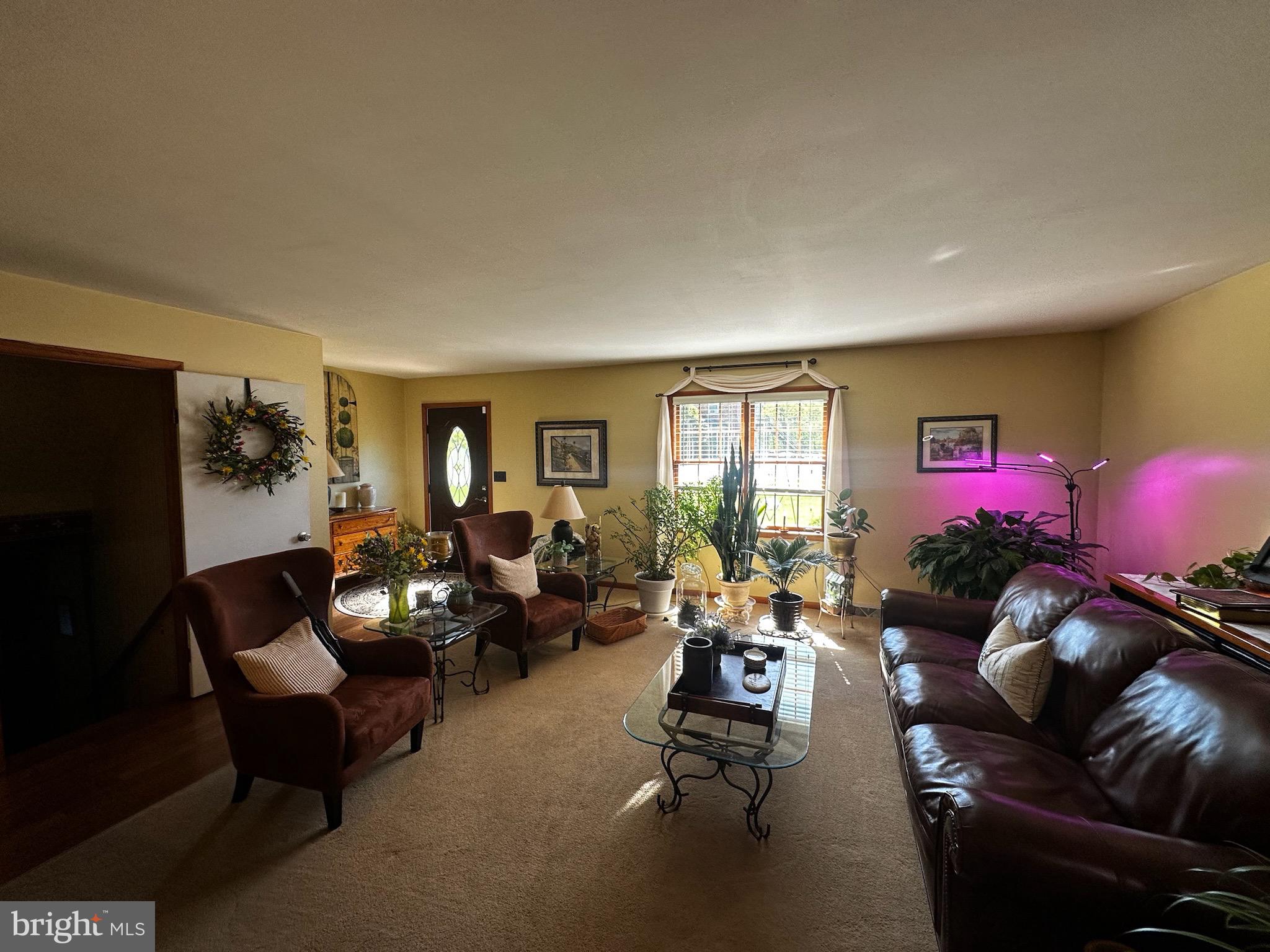 2117 Bainbridge Road Elizabethtown, PA 17022 - Photo 2 of 41 LIVING ROOM/ENTRY