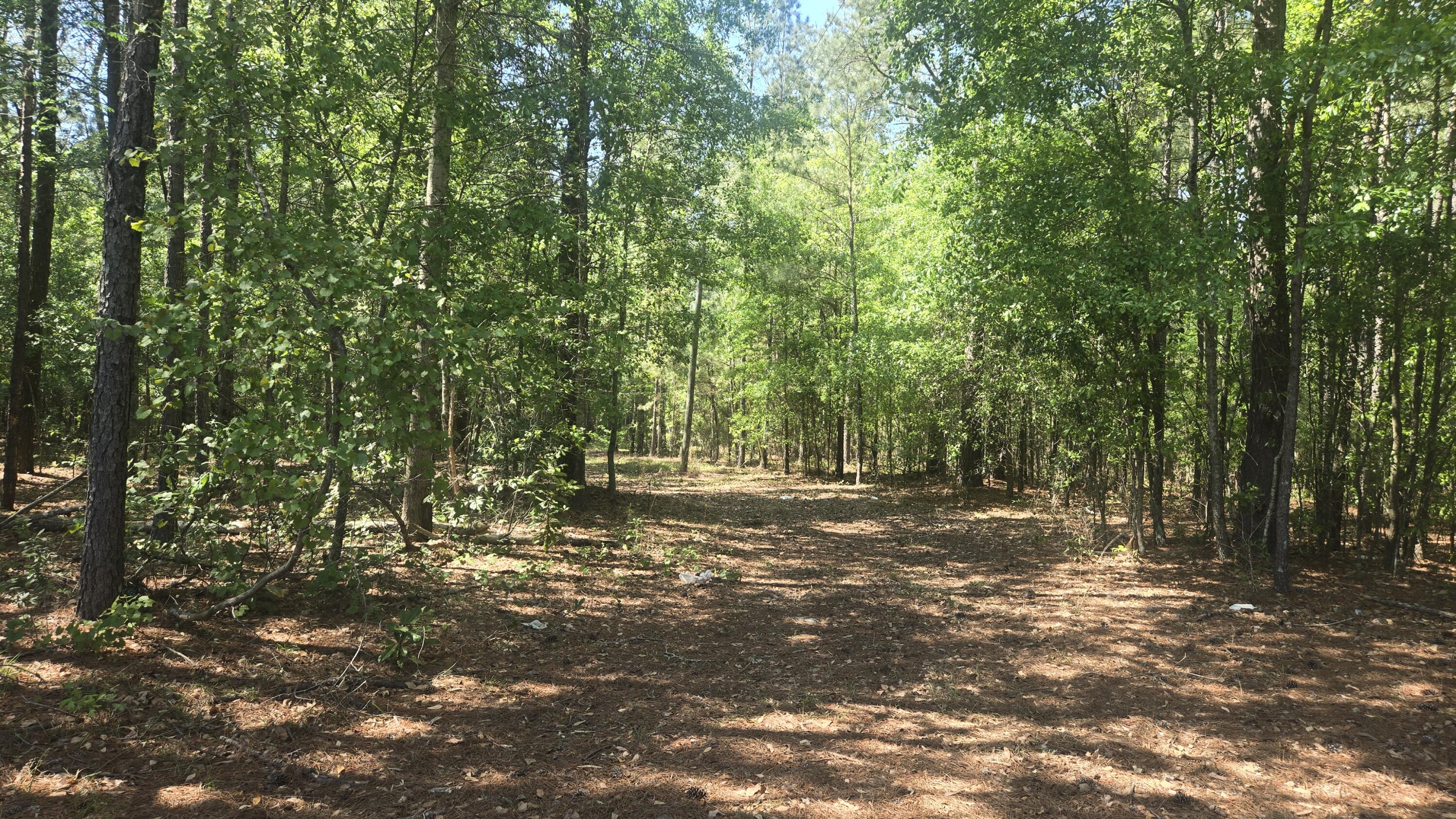 415 Pearson Road Sumter, SC 29150 - Photo 3 of 4