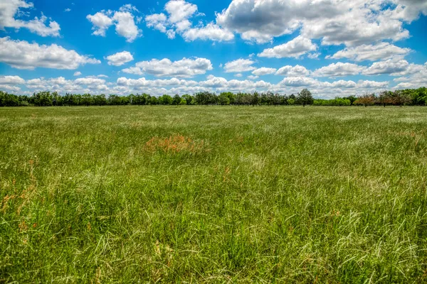 $699,900 | 1850 Lcr 439, Mexia, TX 76667