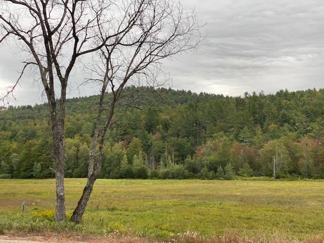 Lot 25 Andover Road Rumford, ME 04276 - Photo 3 of 4 IMG_2700