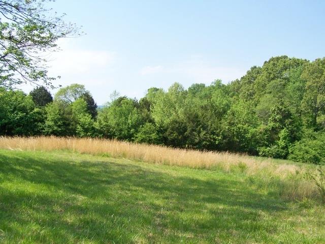 1177 Hunter-Miller Road Rock Island, TN 38581 - Photo 15 of 19 Gallery Image 15