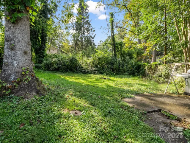 a view of a big yard with plants and large trees