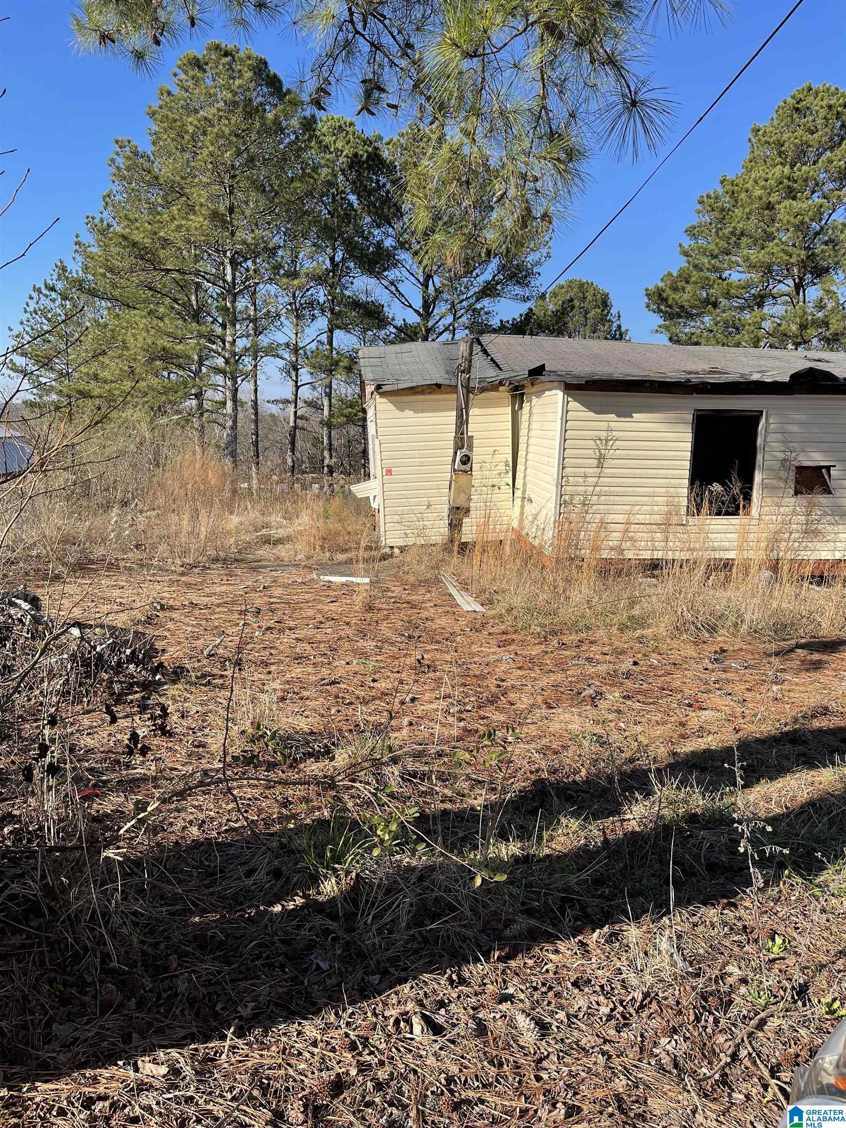 38 Janson Road Oneonta, AL 35121 - Photo 3 of 3