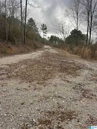 $25,000 | 1363 Old Port Drive, Unit 4, Mulga, AL 35118