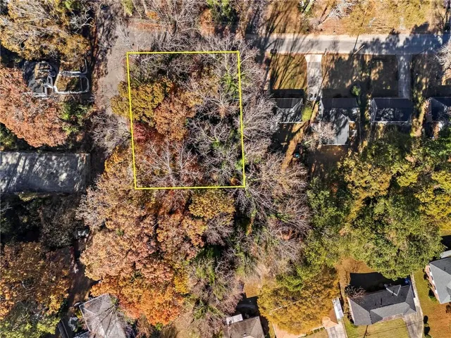 a view of a yard with plants and large trees