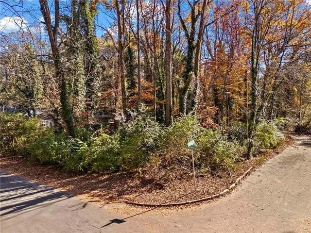 a view of a plant with a tree