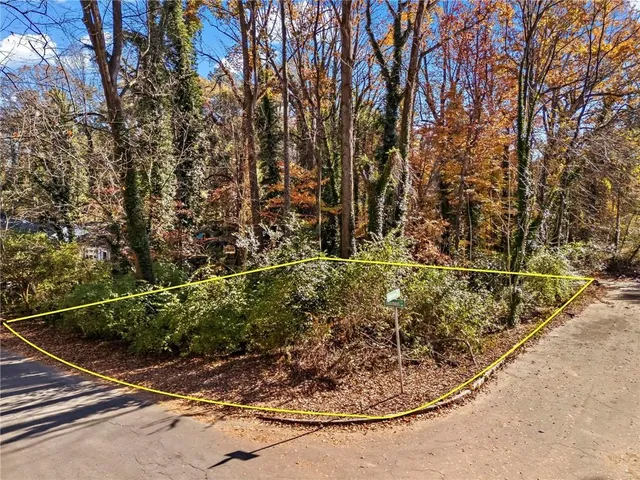 a view of a yard with potted plants and trees
