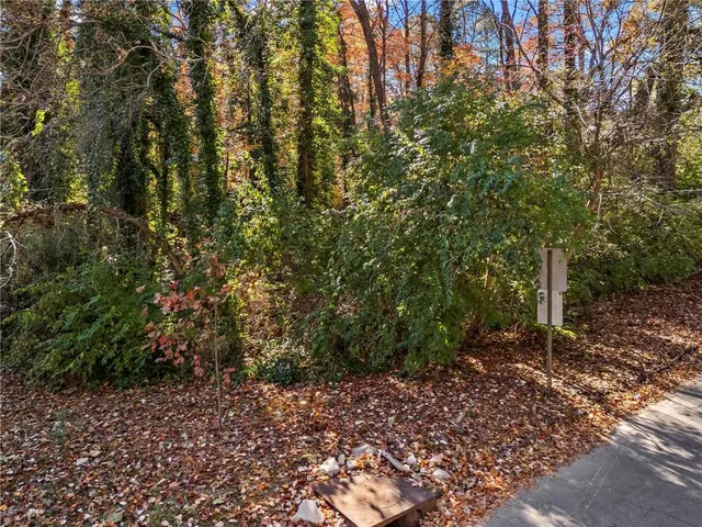a view of a forest with trees in the background