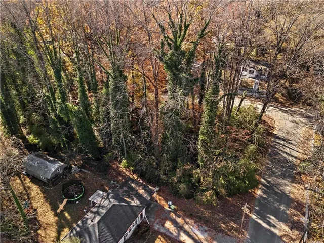 a view of a city with lush green forest