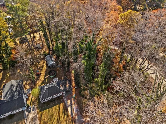 a view of a tree in a yard