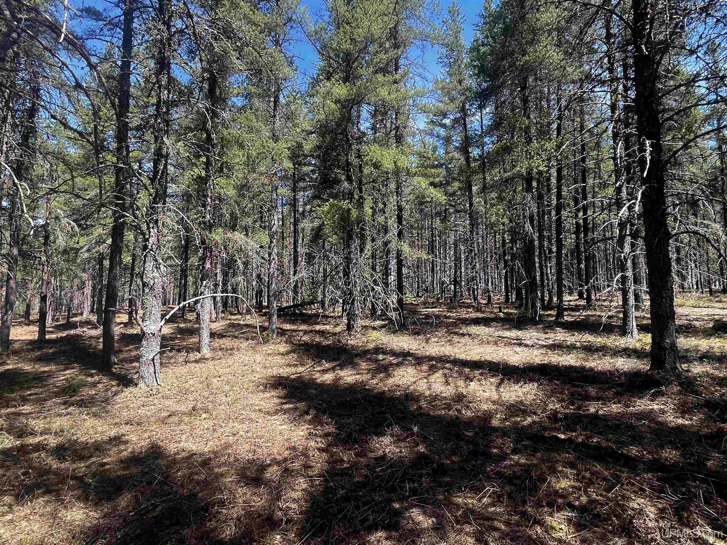 67 County Gga Road Ishpeming, MI 49849 - Photo 26 of 38