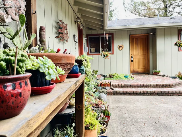 a potted plant sitting in front of a house