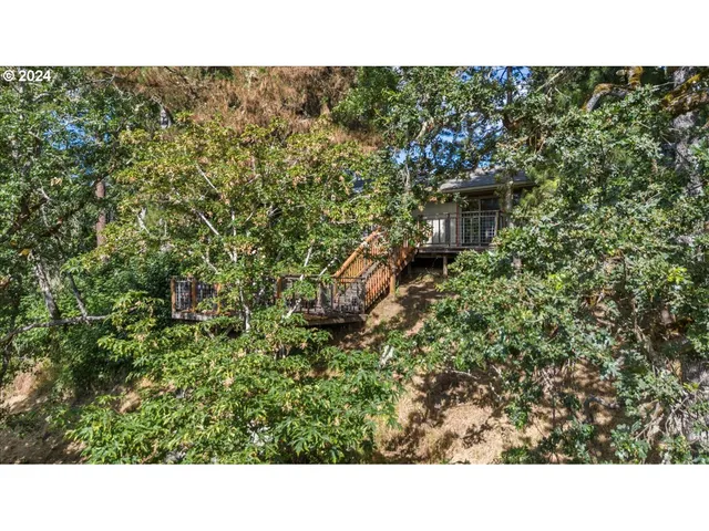 a view of a garden with flowers