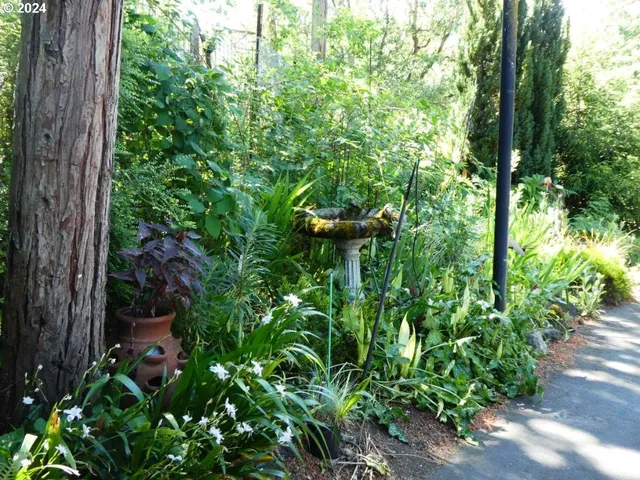 a backyard of a house with lots of green space