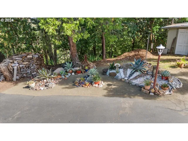 a black and white photo of a garden