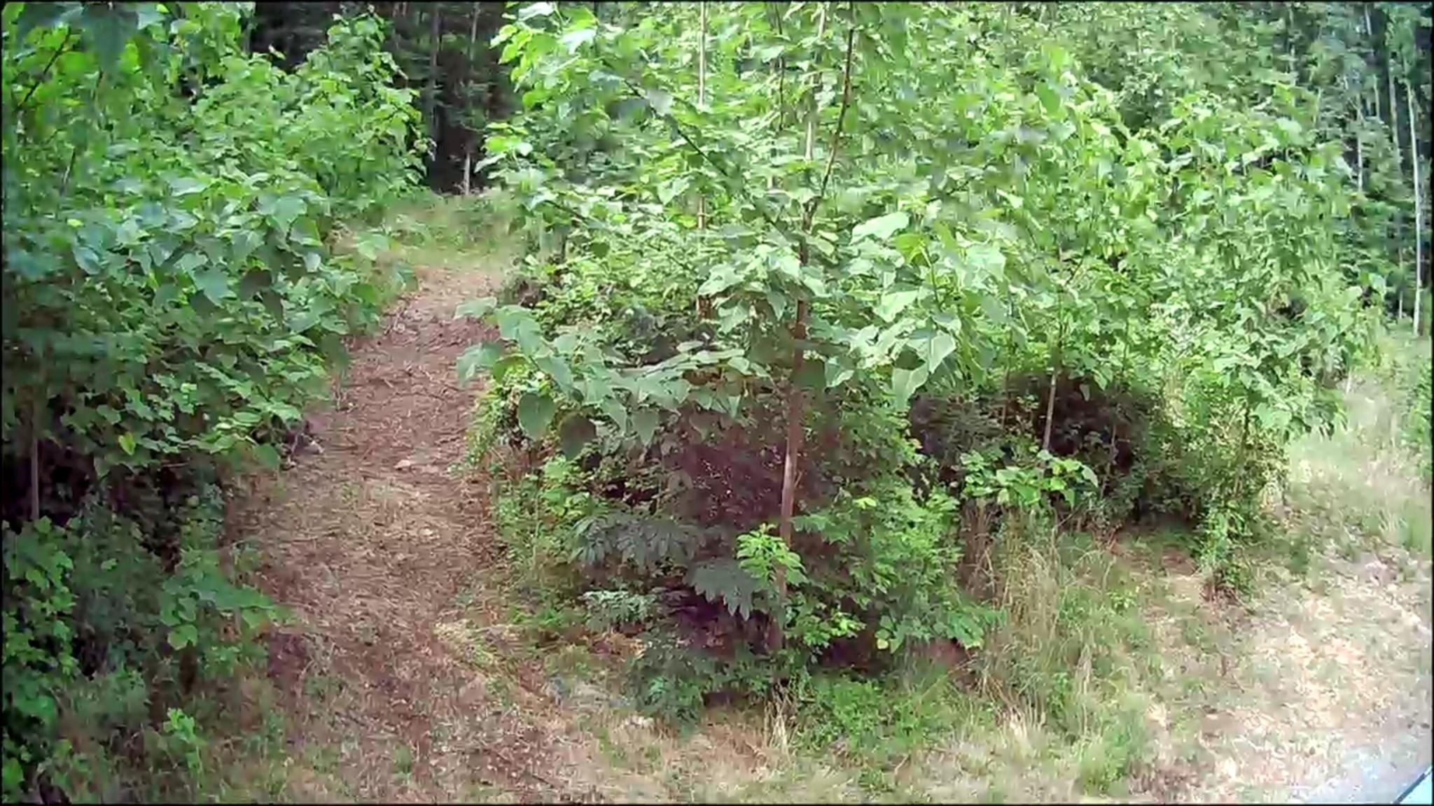 0 Hollow Road Whitwell, TN 37397 - Photo 14 of 18 Gallery Image 14