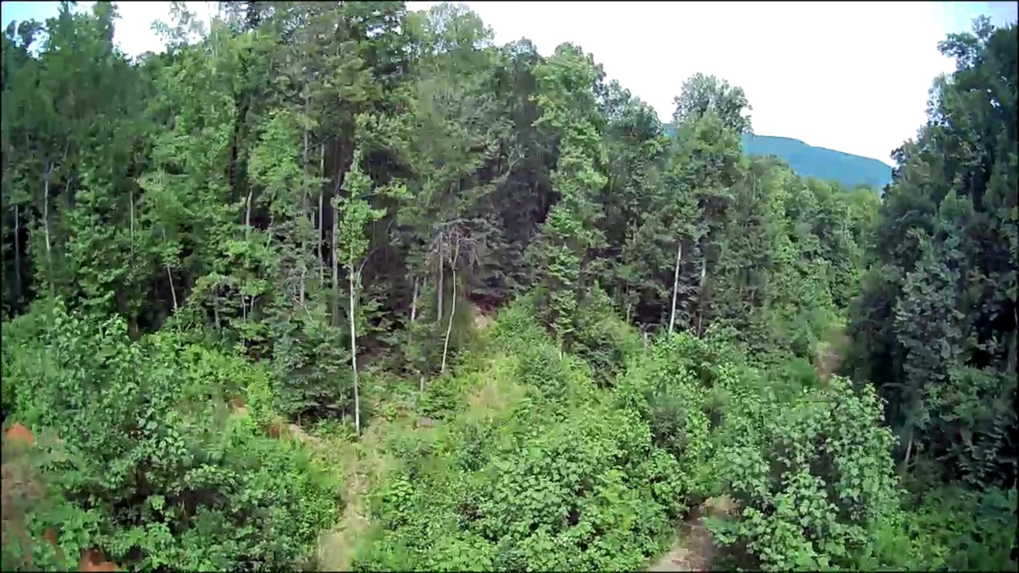 0 Hollow Road Whitwell, TN 37397 - Photo 16 of 18 Gallery Image 16