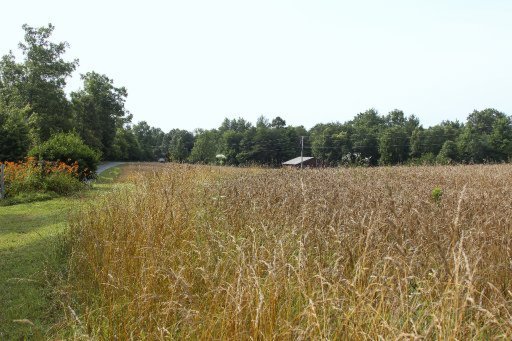 490 Claude Howard Road Deer Lodge, TN 37726 - Photo 18 of 30 Additional Photo