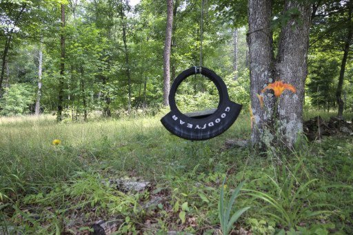 490 Claude Howard Road Deer Lodge, TN 37726 - Photo 20 of 30 Additional Photo