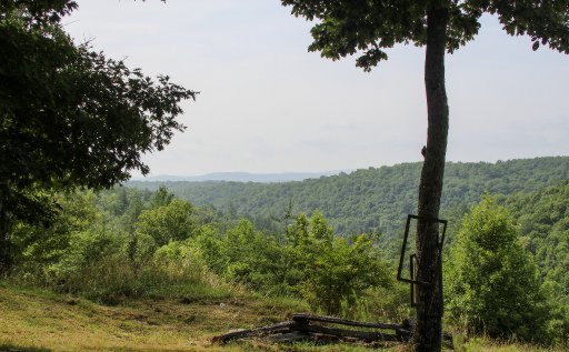 490 Claude Howard Road Deer Lodge, TN 37726 - Photo 22 of 30 Additional Photo