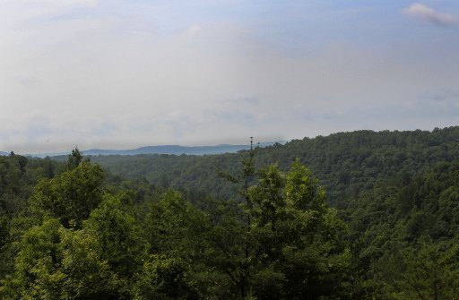 490 Claude Howard Road Deer Lodge, TN 37726 - Photo 23 of 30 Additional Photo