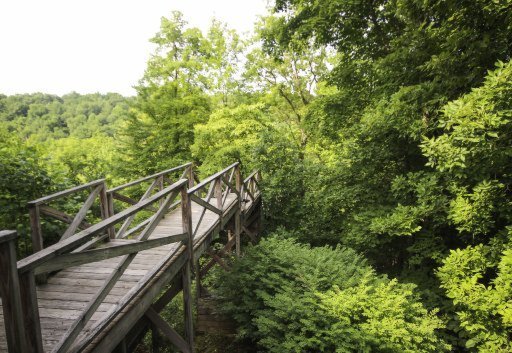 490 Claude Howard Road Deer Lodge, TN 37726 - Photo 24 of 30 Additional Photo