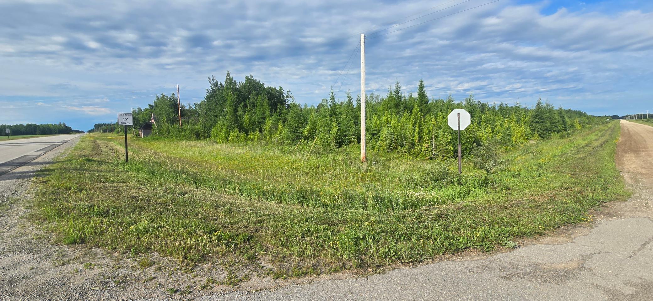 33949 County 17 Road Roosevelt, MN 56673 - Photo 2 of 9