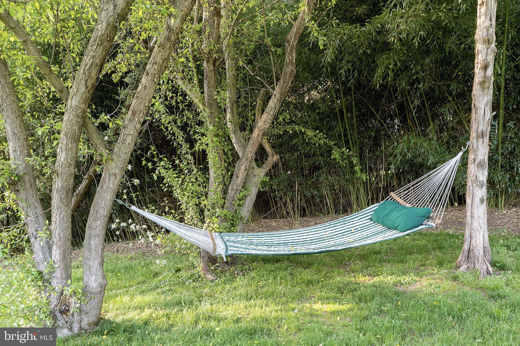 616 Scotch Road Pennington, NJ 08534 - Photo 41 of 46 Lazy summer days are welcome here.
