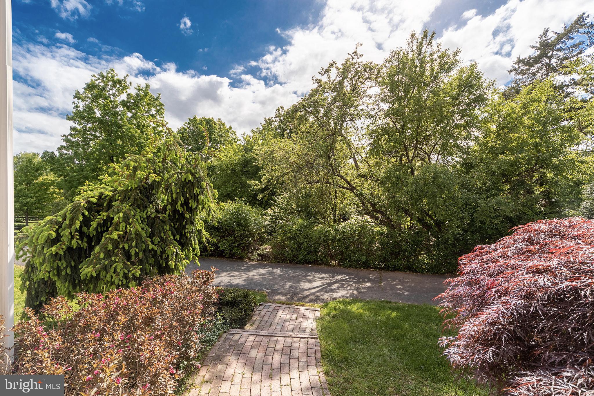 616 Scotch Road Pennington, NJ 08534 - Photo 43 of 46 View from front door.