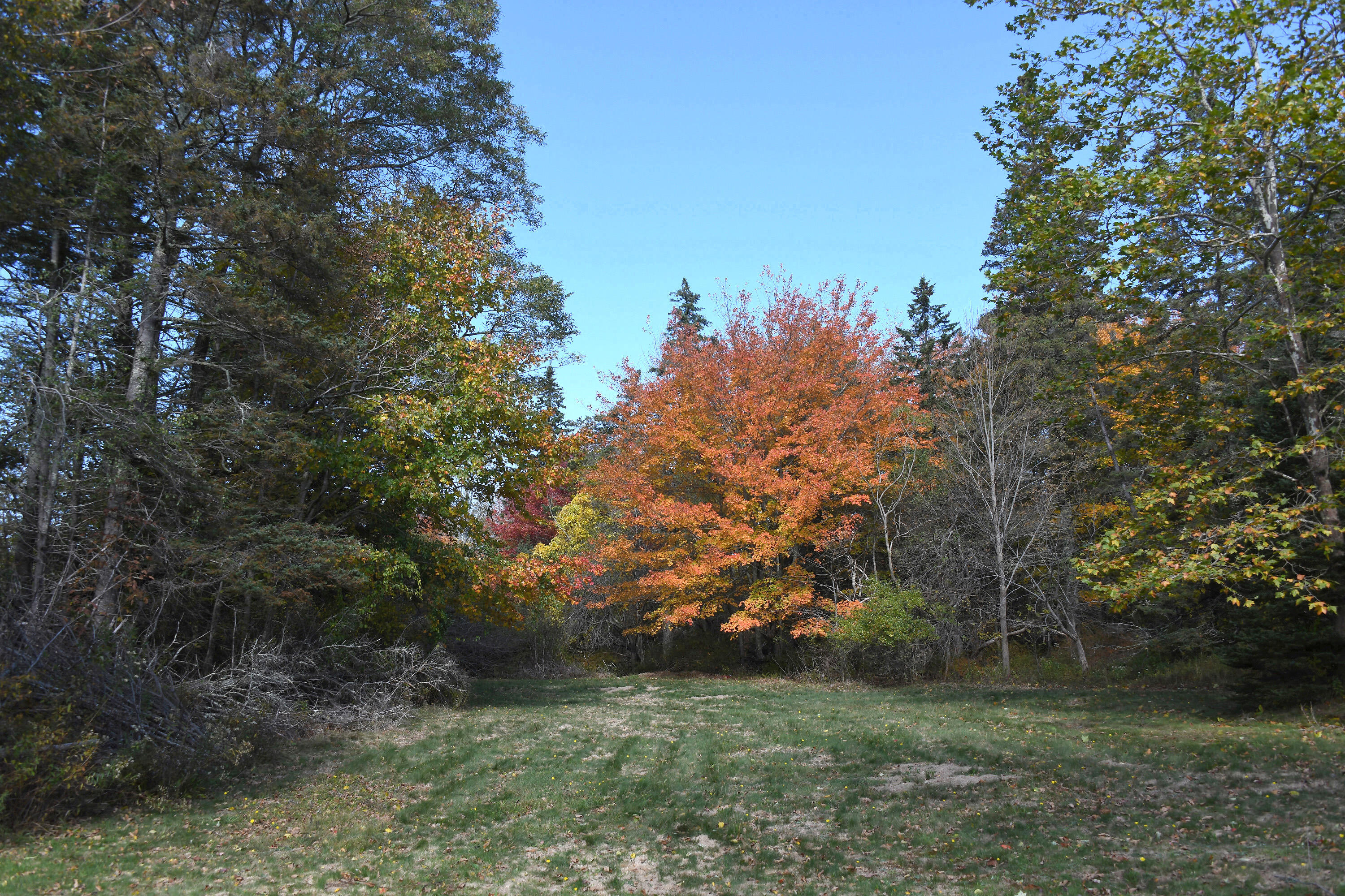 0 North Deer Isle Road Deer Isle, ME 04627 - Photo 22 of 22 000_NorthDeerIsleRoad_020