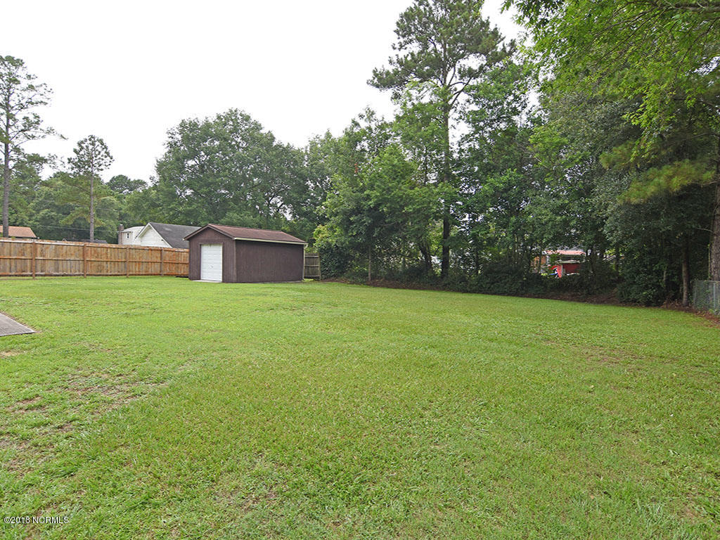 303 Millhouse Road Castle Hayne, NC 28429 - Photo 5 of 15 Backyard 2