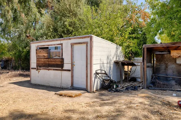 a view of a backyard space with a large tree
