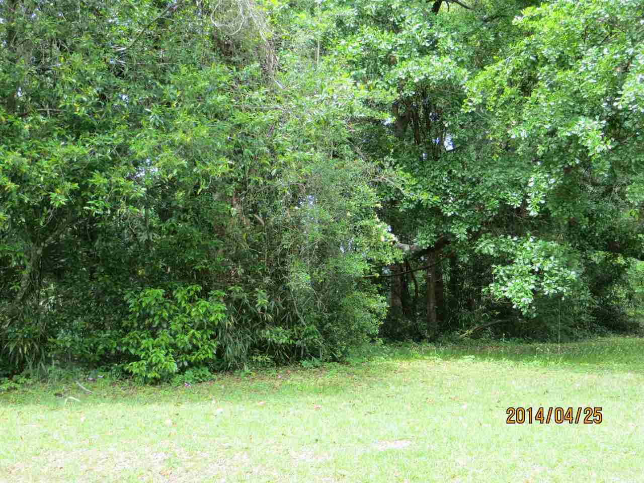 Xx Old Bainbridge Road, Unit XX Tallahassee, FL 32304 - Photo 4 of 4 Gallery Image 4
